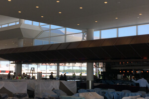 Delta Sky Club